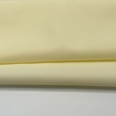 Tissu pour vêtements 100% nylon 10D26gsm double couche écran solaire