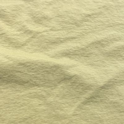 Tissu pour vêtements 100% nylon 10D26gsm double couche écran solaire